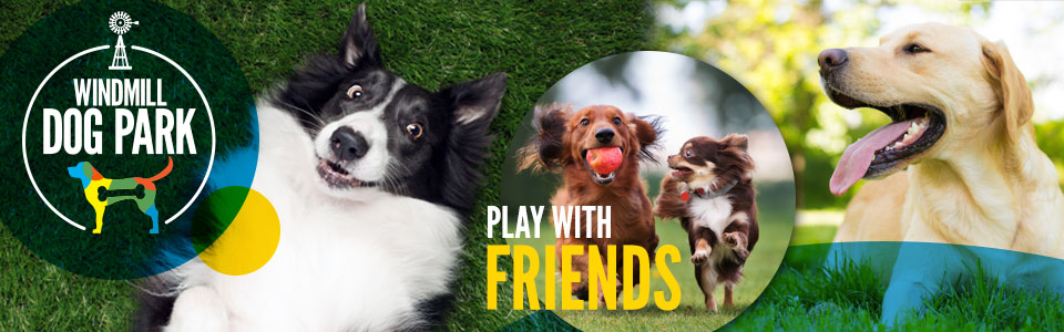 Windmill Dog Park - Coconut Creek, Florida