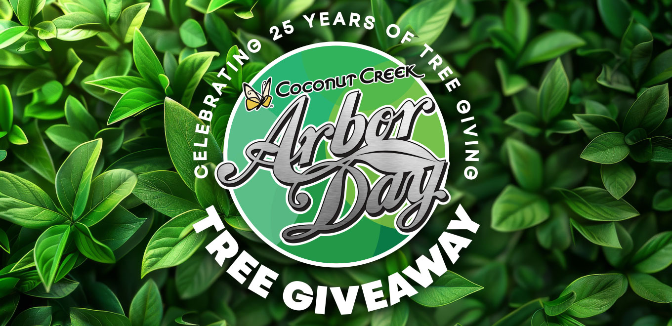 Coconut Creek Arbor Day 2025 Free Tree Giveaway