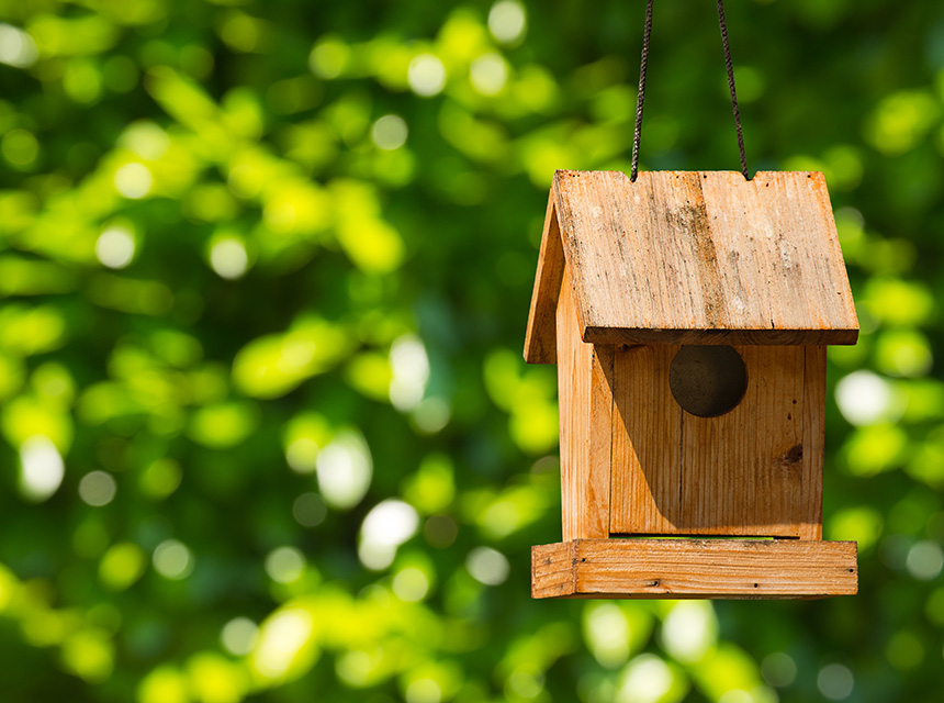 Habitat Birdhouse