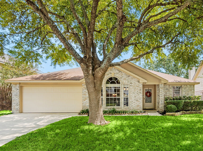 Landscaping Street Tree